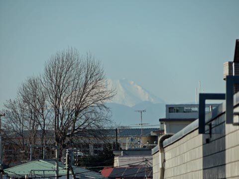 IMG_6976.jpg